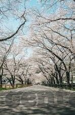 糖心直播app下载安卓版-体验糖心直播，尽情沉浸在多彩的娱乐世界